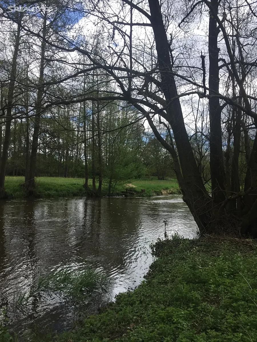Predaj pozemku 4.000 m², Rakovice, Jihočeský kraj Predaj pozemku 4.000 m², Rakovice, Jihočeský kraj