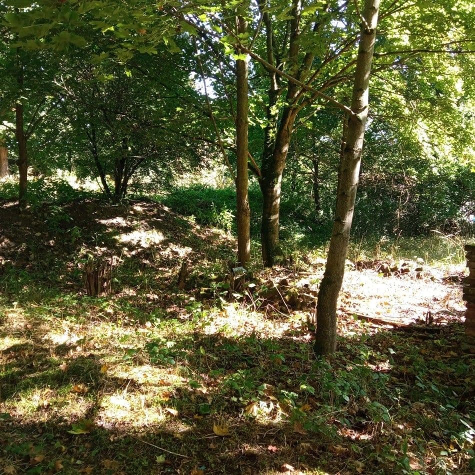 Predaj pozemku 4.000 m², Rakovice, Jihočeský kraj Predaj pozemku 4.000 m², Rakovice, Jihočeský kraj