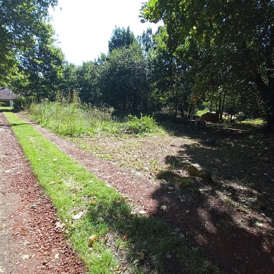 Predaj pozemku 4.000 m², Rakovice, Jihočeský kraj Predaj pozemku 4.000 m², Rakovice, Jihočeský kraj