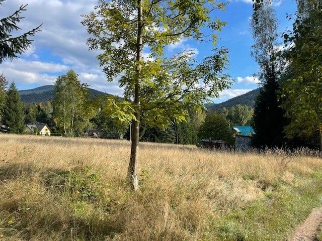 Predaj pozemku 2.555 m², Harrachov, Liberecký kraj Predaj pozemku 2.555 m², Harrachov, Liberecký kraj