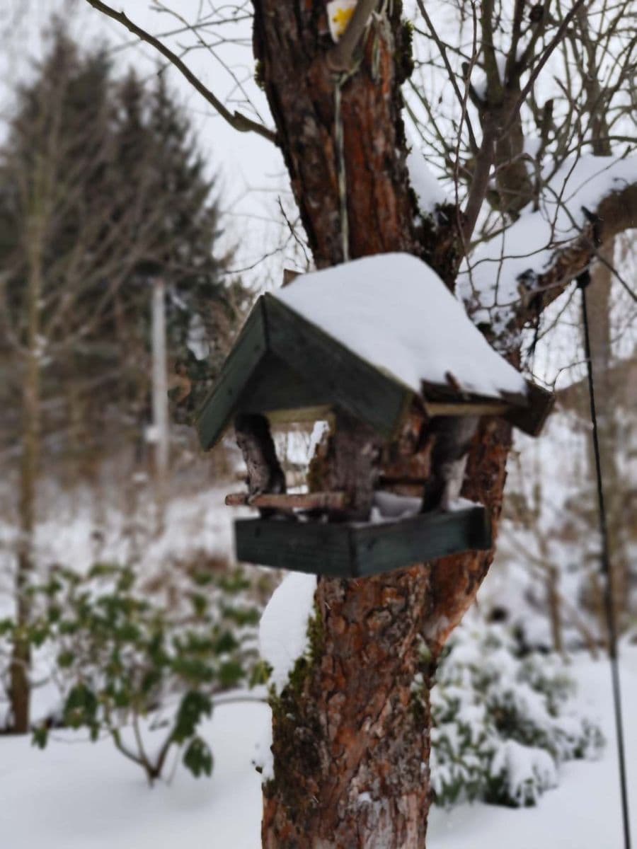 Prenájom rekreačného objektu, Levínská Olešnice, Liberecký kraj Prenájom rekreačného objektu, Levínská Olešnice, Liberecký kraj