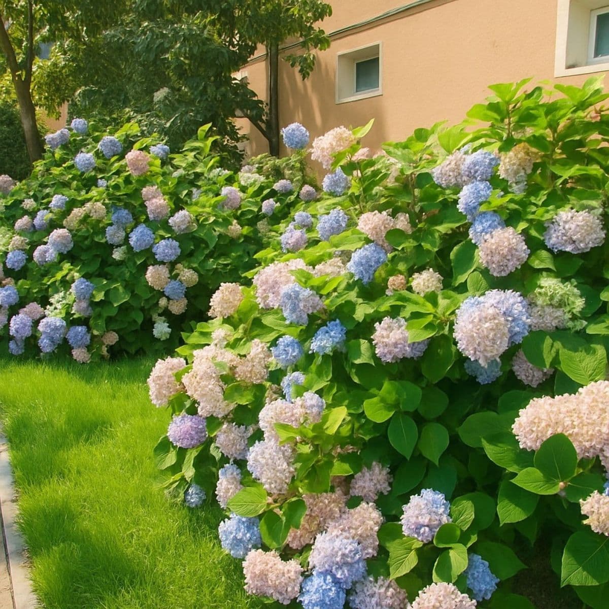 Prenájom bytu 3-izbový 63 m², Hybešova, Havířov, Moravskoslezský kraj Prenájom bytu 3-izbový 63 m², Hybešova, Havířov, Moravskoslezský kraj