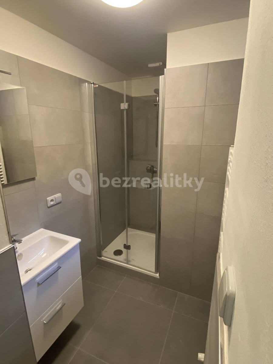 Prenájom bytu 1-izbový 46 m², Viktora Huga, Praha, Praha Prenájom bytu 1-izbový 46 m², Viktora Huga, Praha, Praha