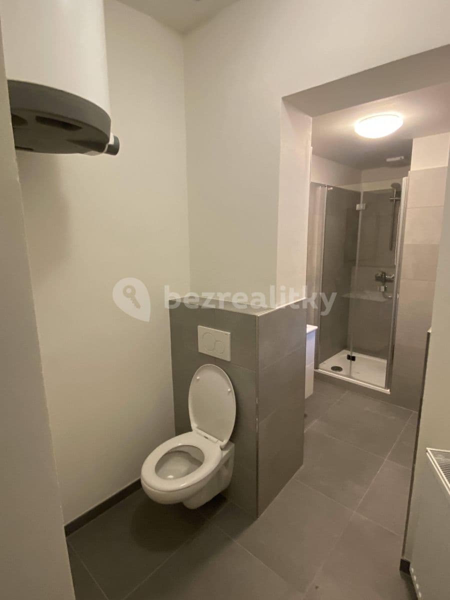 Prenájom bytu 1-izbový 46 m², Viktora Huga, Praha, Praha Prenájom bytu 1-izbový 46 m², Viktora Huga, Praha, Praha
