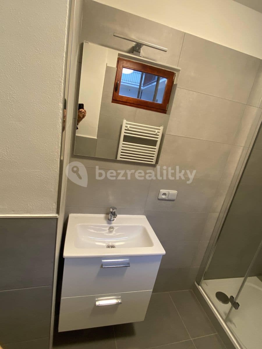 Prenájom bytu 1-izbový 46 m², Viktora Huga, Praha, Praha Prenájom bytu 1-izbový 46 m², Viktora Huga, Praha, Praha