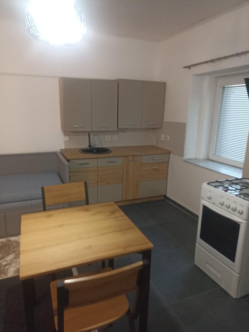Prenájom bytu 1-izbový 25 m², Záryby, Středočeský kraj Prenájom bytu 1-izbový 25 m², Záryby, Středočeský kraj
