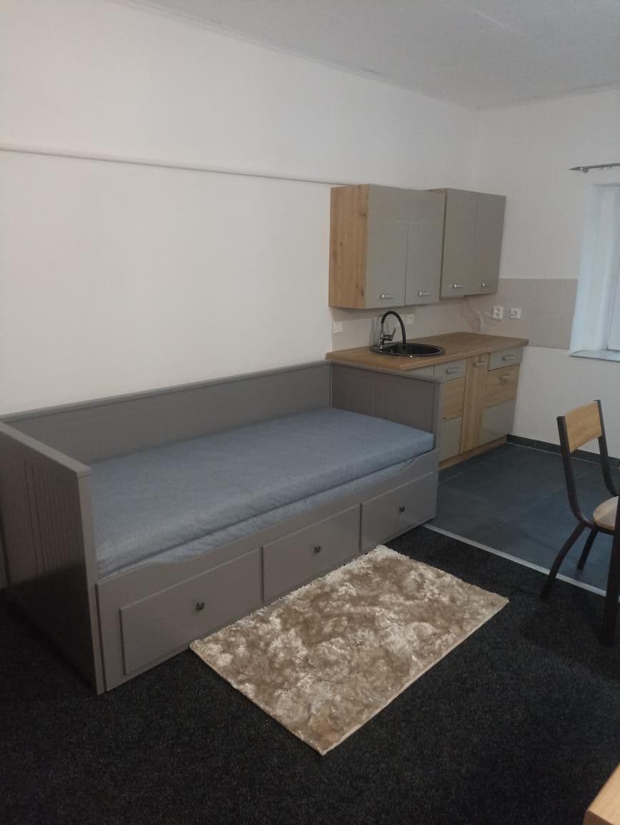 Prenájom bytu 1-izbový 25 m², Záryby, Středočeský kraj Prenájom bytu 1-izbový 25 m², Záryby, Středočeský kraj