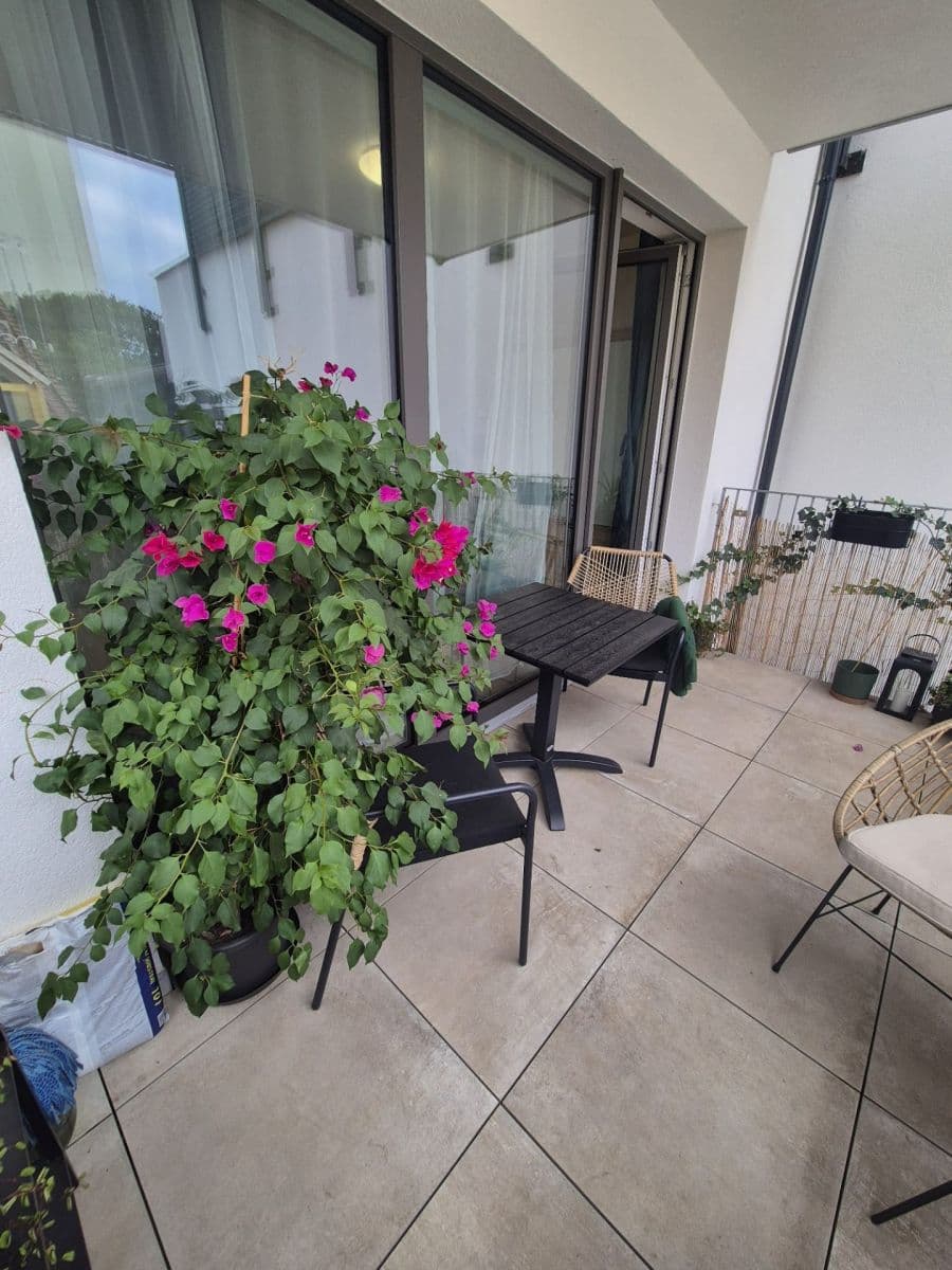 Prenájom bytu 1-izbový 40 m², Horova, Brno, Jihomoravský kraj Prenájom bytu 1-izbový 40 m², Horova, Brno, Jihomoravský kraj