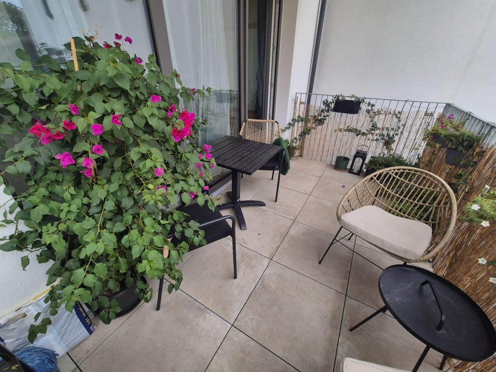 Prenájom bytu 1-izbový 40 m², Horova, Brno, Jihomoravský kraj Prenájom bytu 1-izbový 40 m², Horova, Brno, Jihomoravský kraj