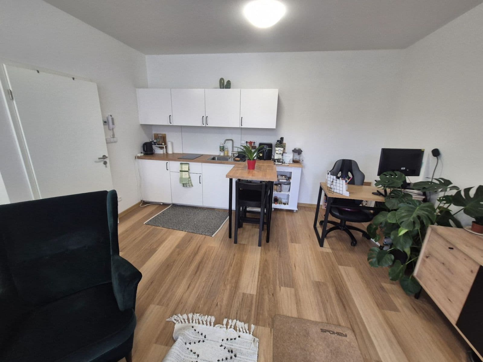 Prenájom bytu 1-izbový 40 m², Horova, Brno, Jihomoravský kraj Prenájom bytu 1-izbový 40 m², Horova, Brno, Jihomoravský kraj
