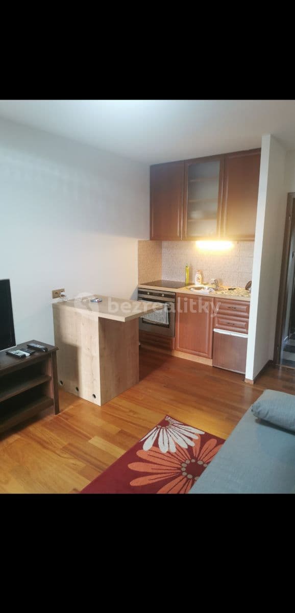 Prenájom bytu 1-izbový 25 m², Severní, Zvole, Středočeský kraj Prenájom bytu 1-izbový 25 m², Severní, Zvole, Středočeský kraj