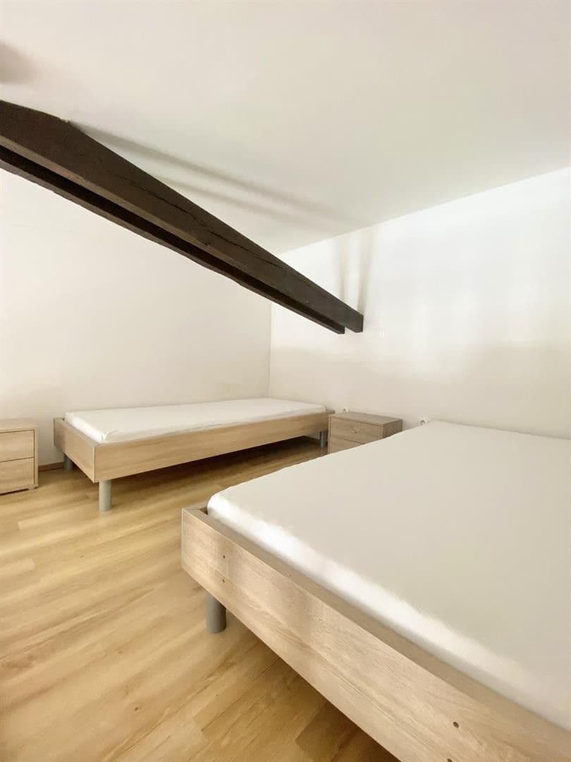 Prenájom bytu 1-izbový 23 m², Mendlovo náměstí, Brno, Jihomoravský kraj Prenájom bytu 1-izbový 23 m², Mendlovo náměstí, Brno, Jihomoravský kraj