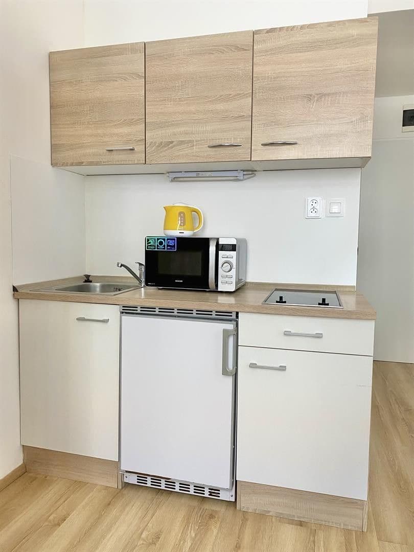 Prenájom bytu 1-izbový 23 m², Mendlovo náměstí, Brno, Jihomoravský kraj Prenájom bytu 1-izbový 23 m², Mendlovo náměstí, Brno, Jihomoravský kraj