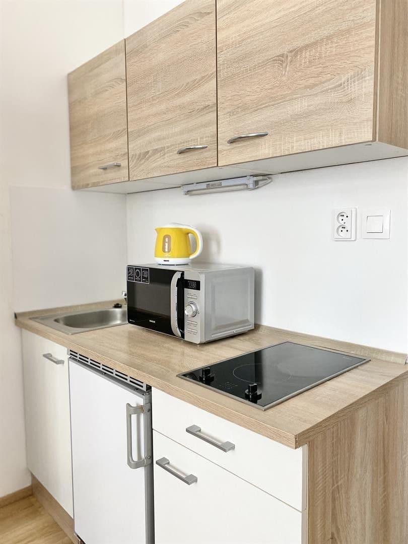 Prenájom bytu 1-izbový 23 m², Mendlovo náměstí, Brno, Jihomoravský kraj Prenájom bytu 1-izbový 23 m², Mendlovo náměstí, Brno, Jihomoravský kraj