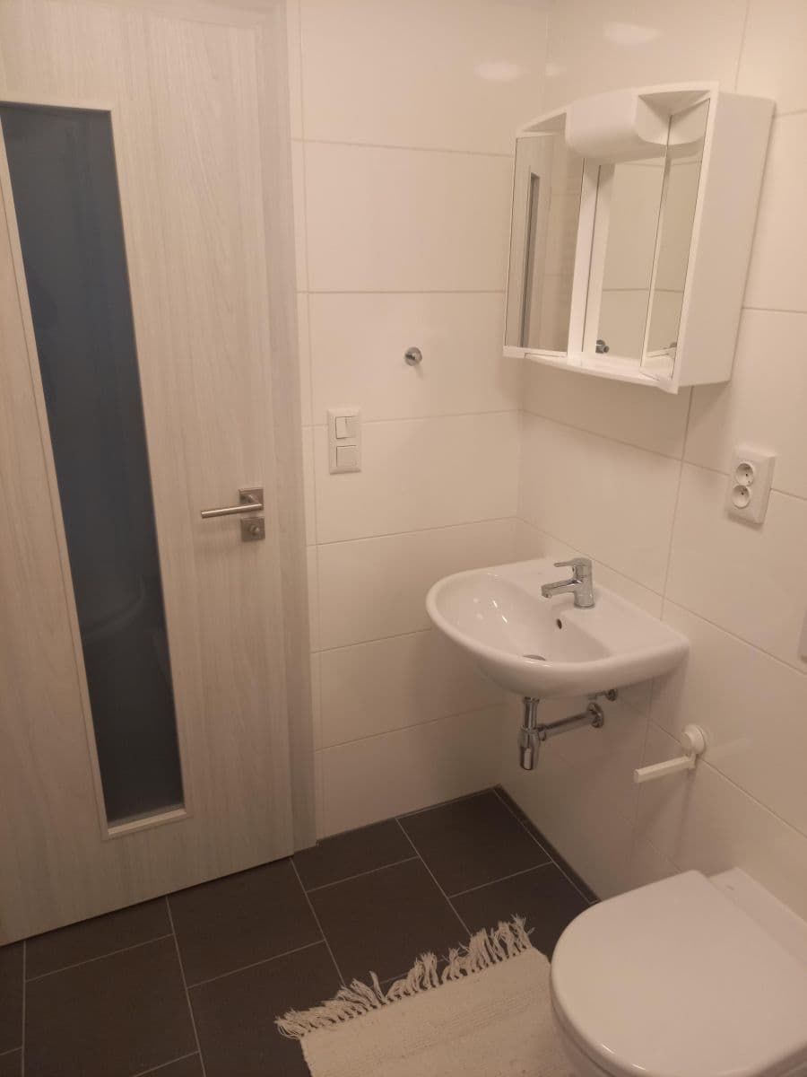 Prenájom bytu 1-izbový 31 m², U Potoka, Mělník, Středočeský kraj Prenájom bytu 1-izbový 31 m², U Potoka, Mělník, Středočeský kraj