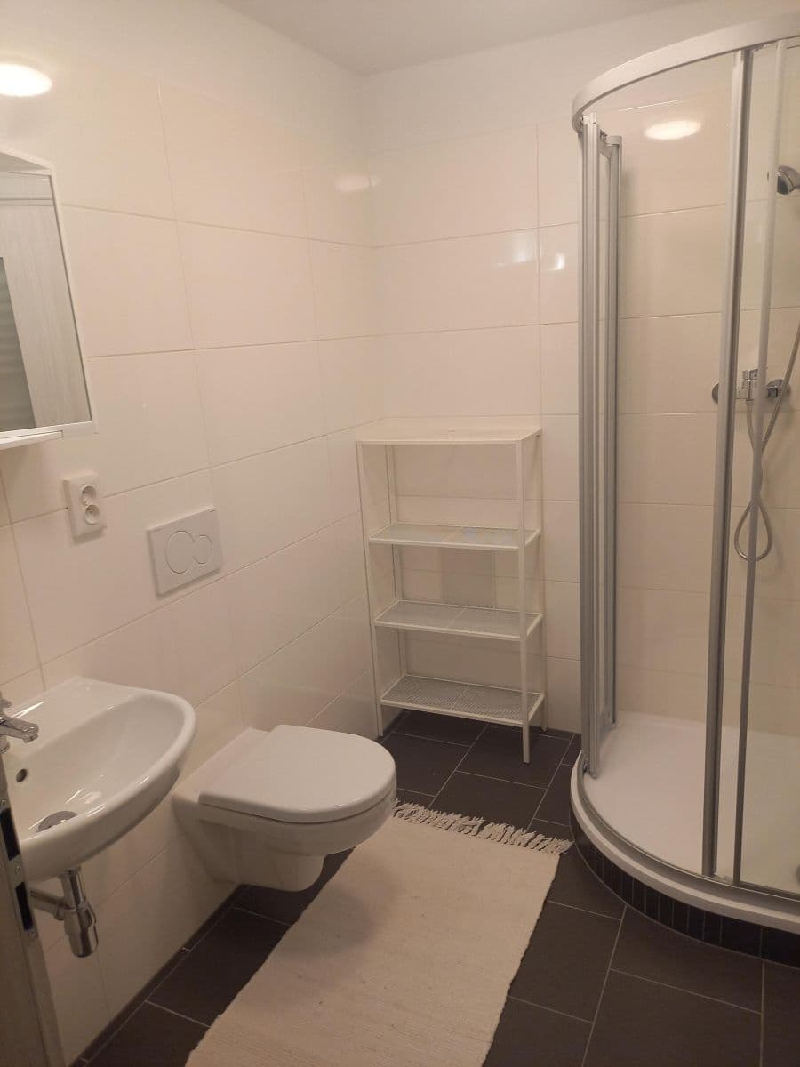 Prenájom bytu 1-izbový 31 m², U Potoka, Mělník, Středočeský kraj Prenájom bytu 1-izbový 31 m², U Potoka, Mělník, Středočeský kraj