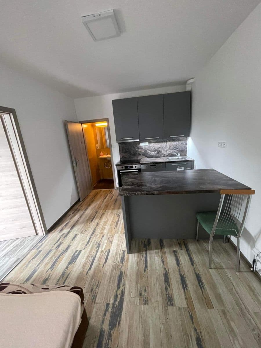 Prenájom bytu 1-izbový 28 m², Netolická, Praha, Praha Prenájom bytu 1-izbový 28 m², Netolická, Praha, Praha