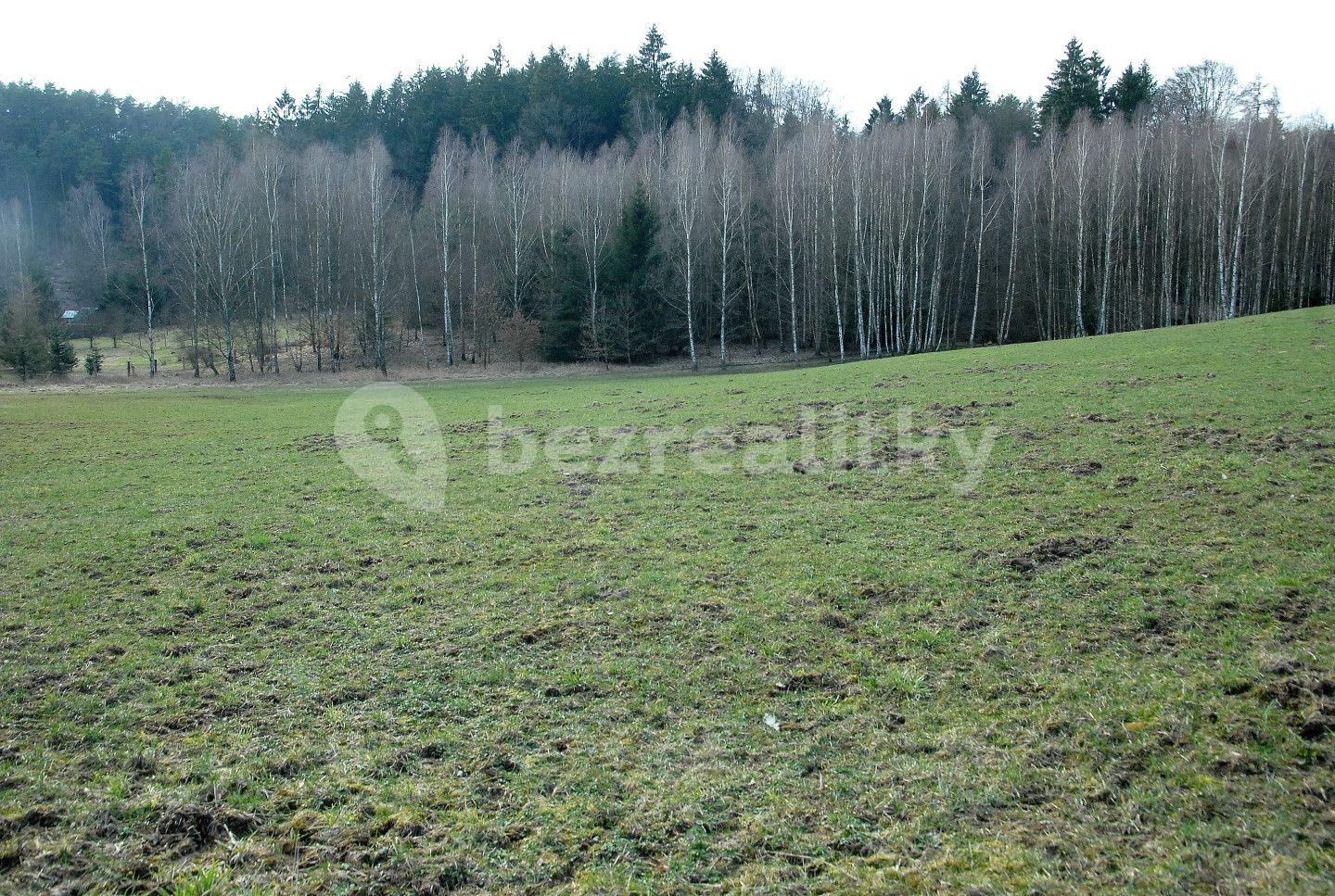 Predaj pozemku 7.010 m², Hrubá Skála, Liberecký kraj