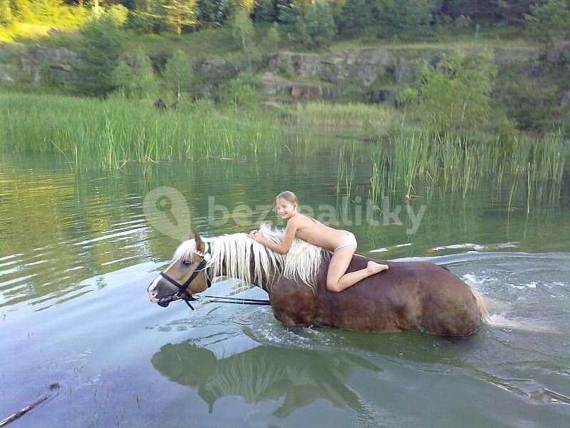 Prenájom rekreačného objektu, Bojkovice, Zlínský kraj Prenájom rekreačného objektu, Bojkovice, Zlínský kraj