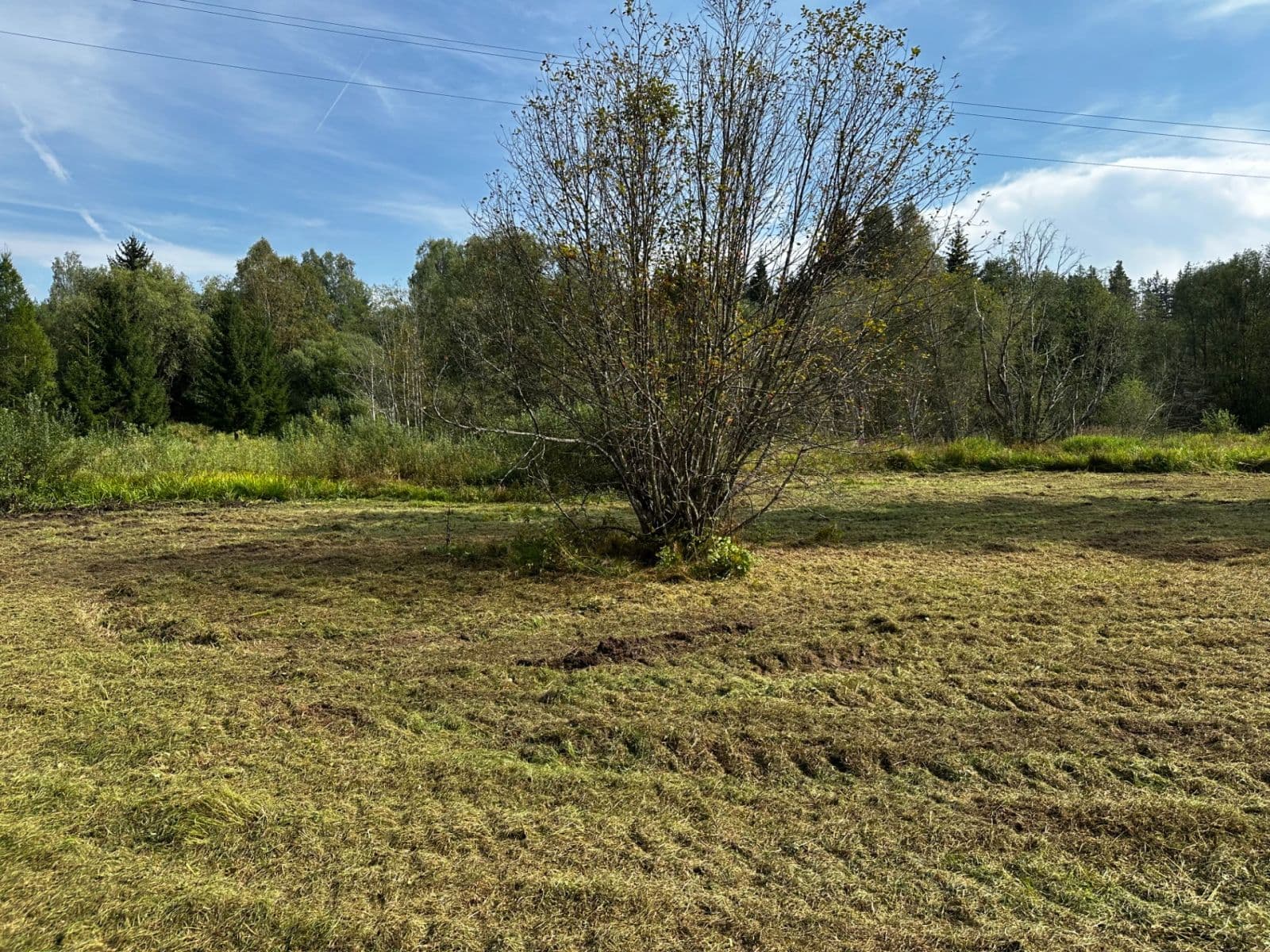 Predaj pozemku 8.518 m², Nová Pec, Jihočeský kraj Predaj pozemku 8.518 m², Nová Pec, Jihočeský kraj