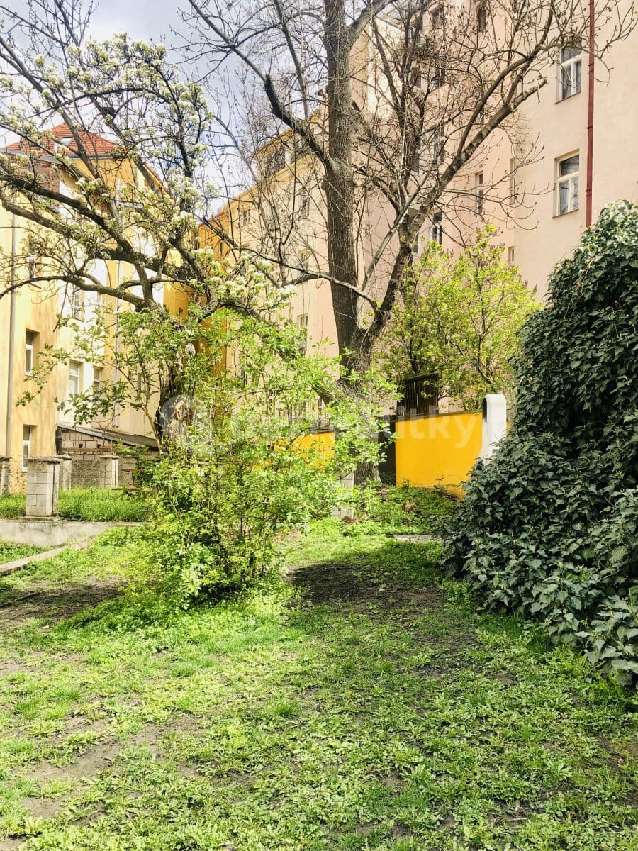 Prenájom bytu 1-izbový 30 m², Bořivojova, Praha, Praha Prenájom bytu 1-izbový 30 m², Bořivojova, Praha, Praha