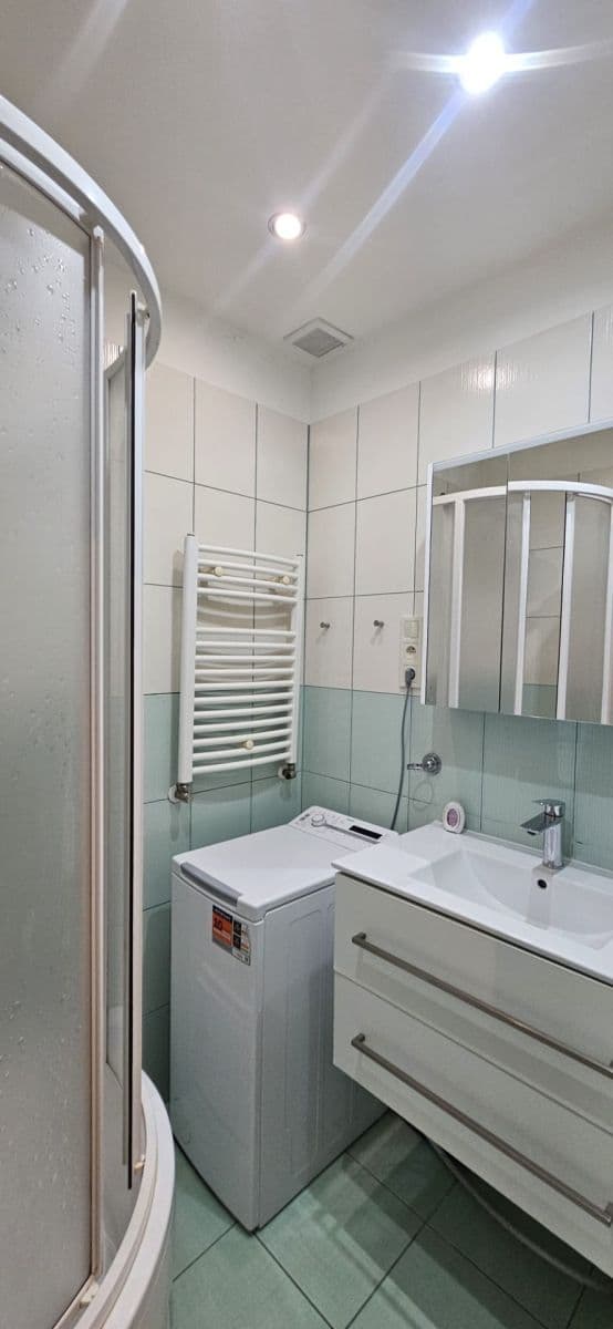 Prenájom bytu 2-izbový 47 m², U Nových domů Ⅱ, Praha, Praha Prenájom bytu 2-izbový 47 m², U Nových domů Ⅱ, Praha, Praha