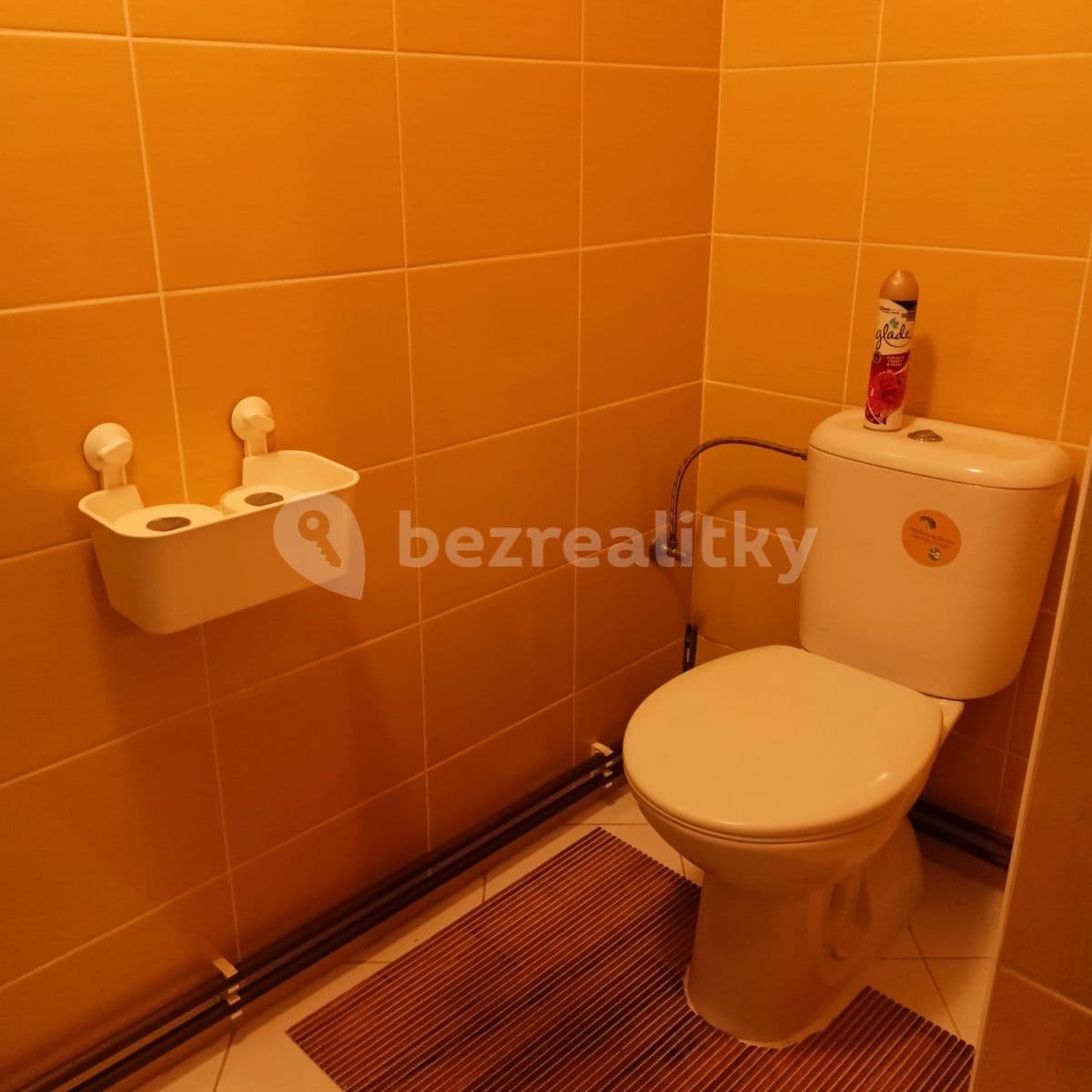 Prenájom bytu 3-izbový 85 m², Plchov, Středočeský kraj Prenájom bytu 3-izbový 85 m², Plchov, Středočeský kraj