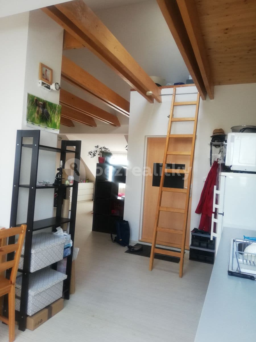 Prenájom bytu 2-izbový 68 m², Zemědělská, Brno, Jihomoravský kraj Prenájom bytu 2-izbový 68 m², Zemědělská, Brno, Jihomoravský kraj