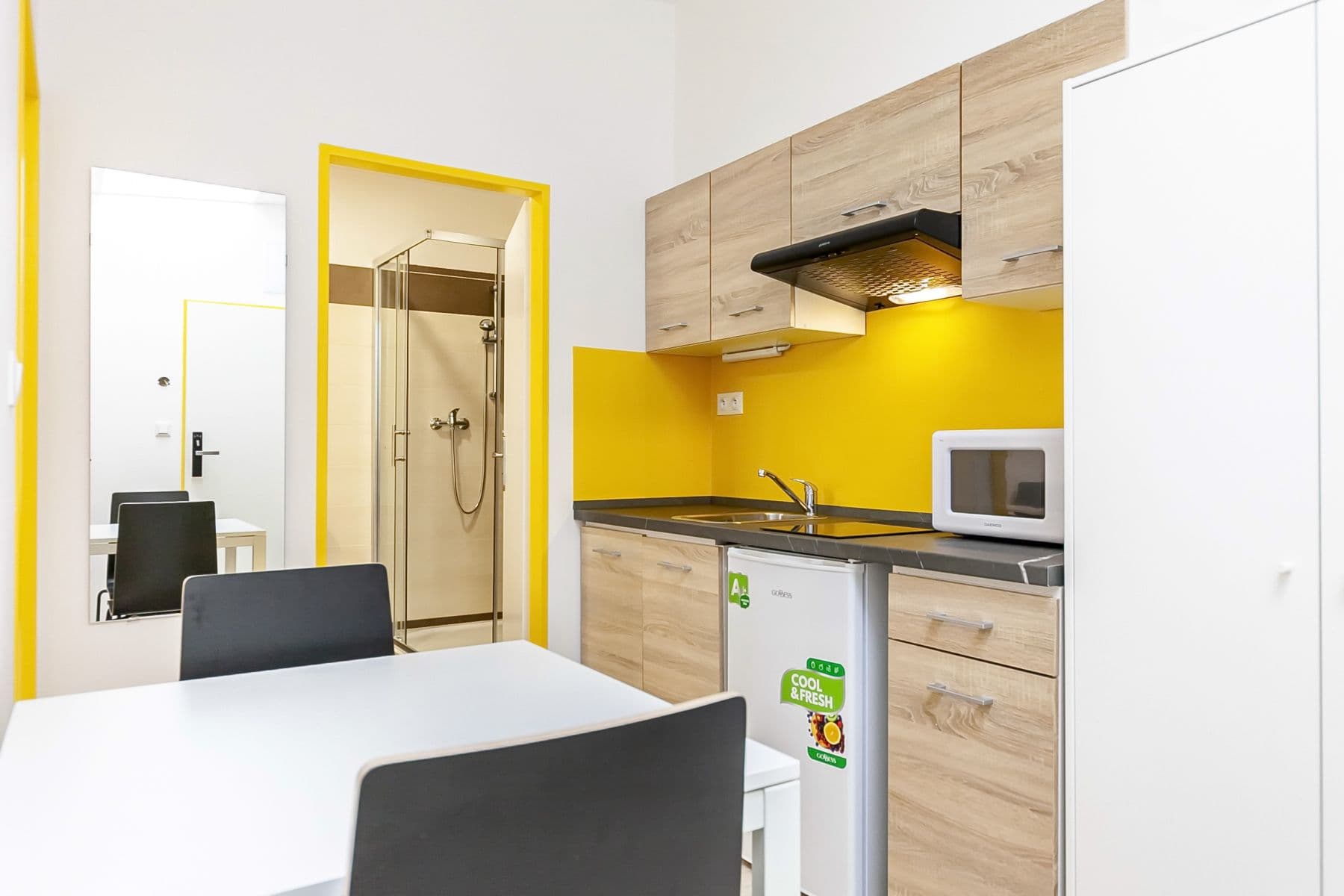 Prenájom bytu 2-izbový 31 m², Václavská, Brno, Jihomoravský kraj Prenájom bytu 2-izbový 31 m², Václavská, Brno, Jihomoravský kraj