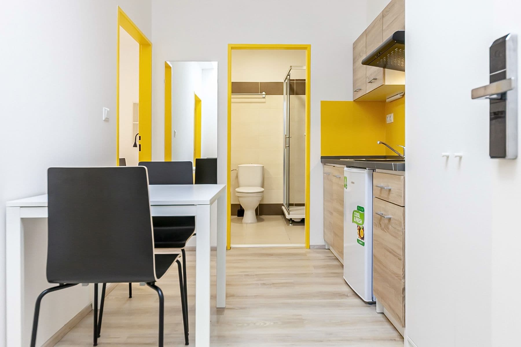 Prenájom bytu 2-izbový 31 m², Václavská, Brno, Jihomoravský kraj Prenájom bytu 2-izbový 31 m², Václavská, Brno, Jihomoravský kraj
