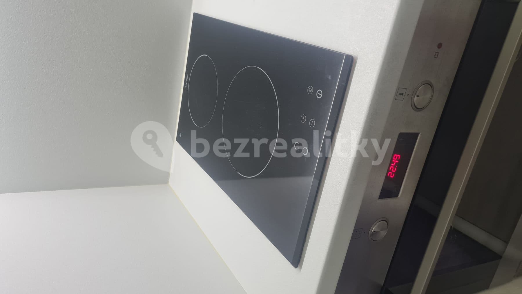 Prenájom bytu 1-izbový 30 m², Halasovo náměstí, Brno, Jihomoravský kraj Prenájom bytu 1-izbový 30 m², Halasovo náměstí, Brno, Jihomoravský kraj