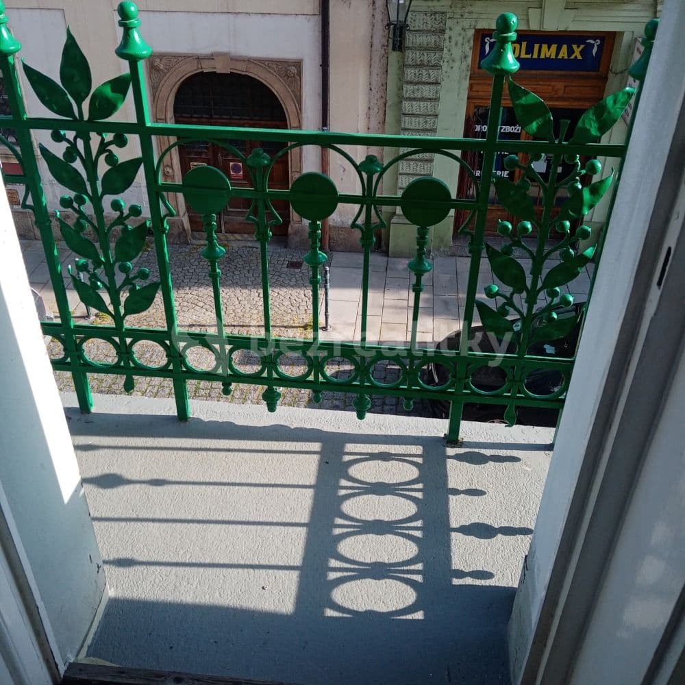 Prenájom bytu 1-izbový 60 m², Bezručova, Plzeň, Plzeňský kraj Prenájom bytu 1-izbový 60 m², Bezručova, Plzeň, Plzeňský kraj