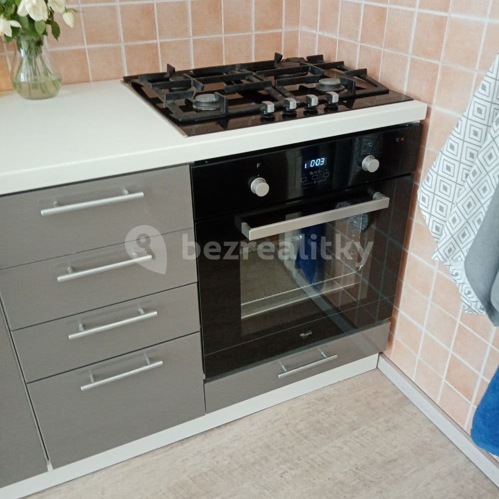 Prenájom bytu 1-izbový 60 m², Bezručova, Plzeň, Plzeňský kraj Prenájom bytu 1-izbový 60 m², Bezručova, Plzeň, Plzeňský kraj