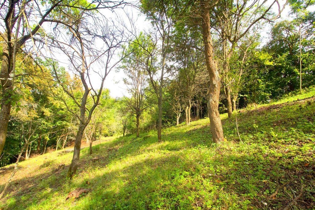 Predaj pozemku 2.406 m², Skalsko, Středočeský kraj Predaj pozemku 2.406 m², Skalsko, Středočeský kraj