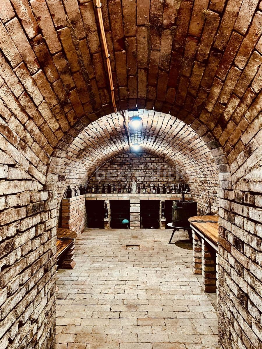 Prenájom rekreačného objektu, Hrušky, Jihomoravský kraj Prenájom rekreačného objektu, Hrušky, Jihomoravský kraj