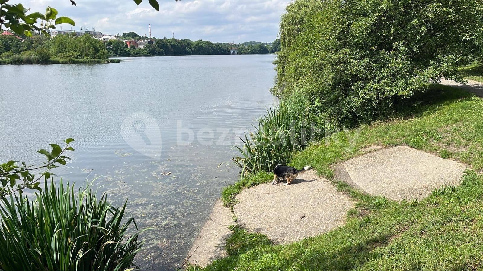 Prenájom bytu 3-izbový 58 m², Tálínská, Praha, Praha Prenájom bytu 3-izbový 58 m², Tálínská, Praha, Praha