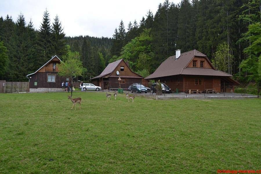 Prenájom rekreačného objektu, Velké Karlovice, Zlínský kraj Prenájom rekreačného objektu, Velké Karlovice, Zlínský kraj