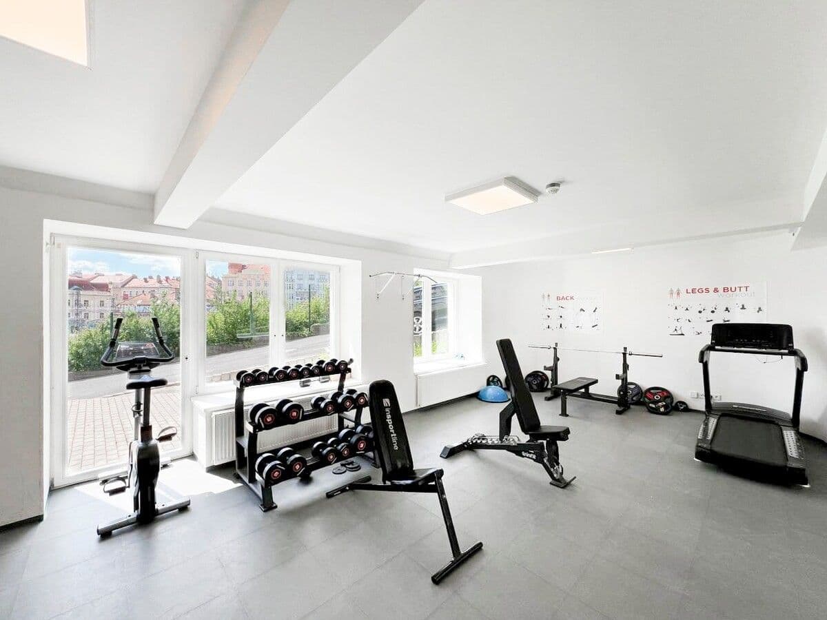 Prenájom bytu 1-izbový 27 m², Perucká, Praha, Praha Prenájom bytu 1-izbový 27 m², Perucká, Praha, Praha