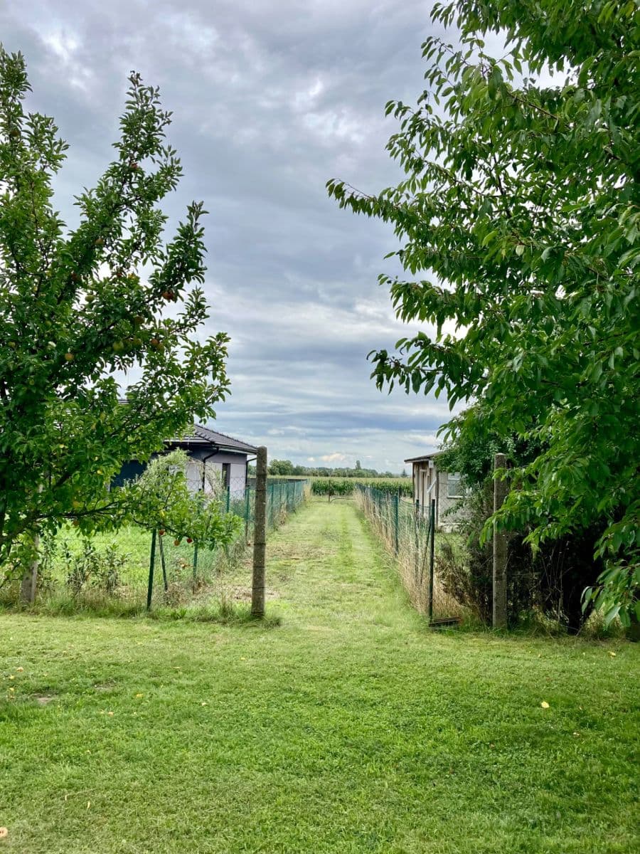 Predaj pozemku 1.165 m², Ke Trati, Pavlov, Středočeský kraj Predaj pozemku 1.165 m², Ke Trati, Pavlov, Středočeský kraj