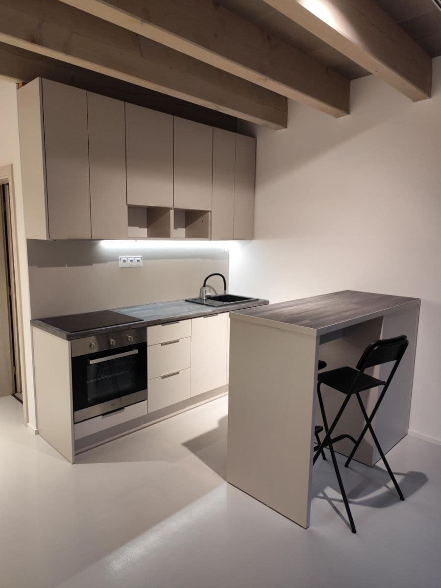 Prenájom bytu 1-izbový 30 m², Myslbekova, Brno, Jihomoravský kraj Prenájom bytu 1-izbový 30 m², Myslbekova, Brno, Jihomoravský kraj