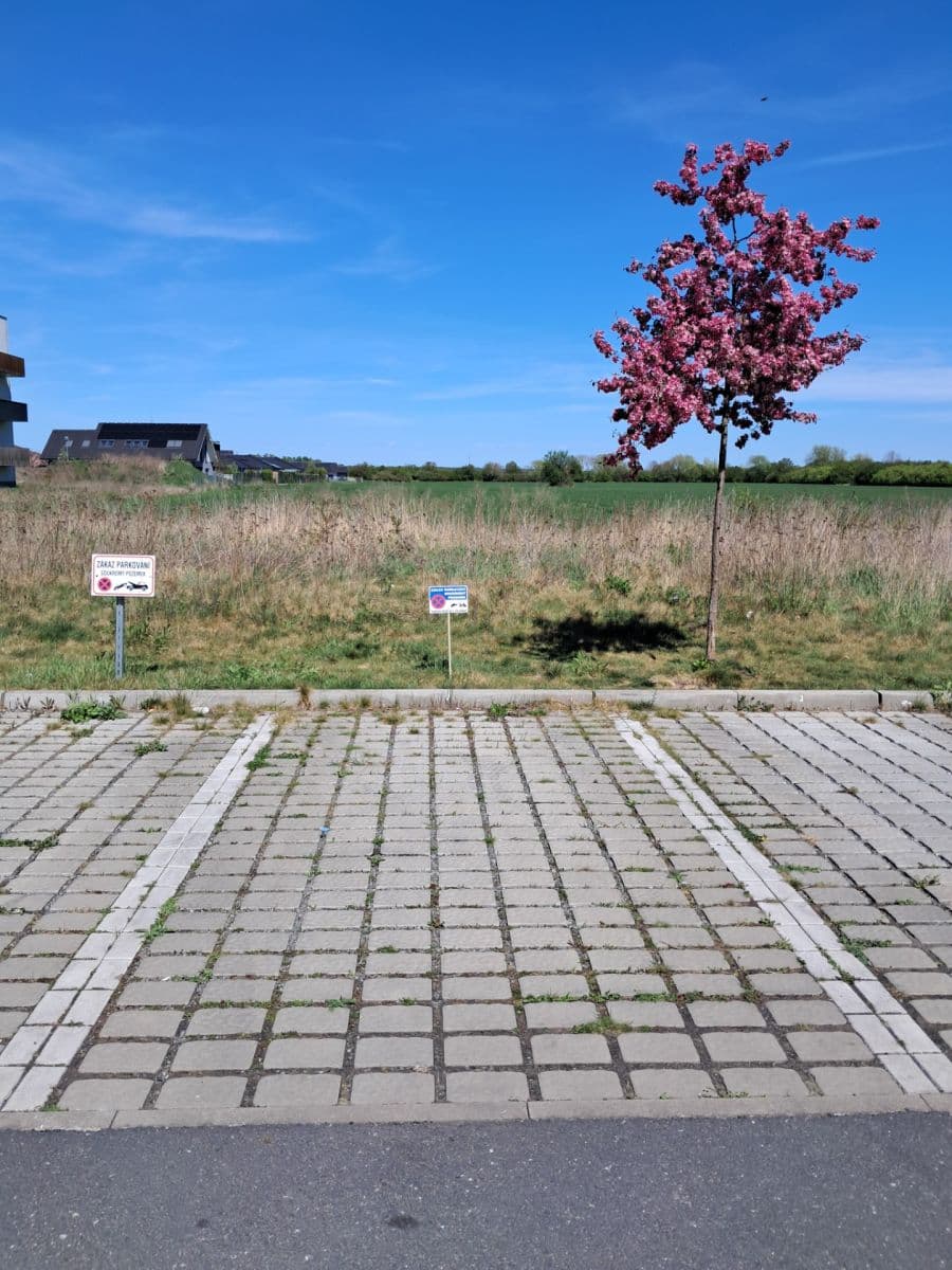 Prenájom bytu 1-izbový 32 m², Nerudova, Poděbrady, Středočeský kraj Prenájom bytu 1-izbový 32 m², Nerudova, Poděbrady, Středočeský kraj