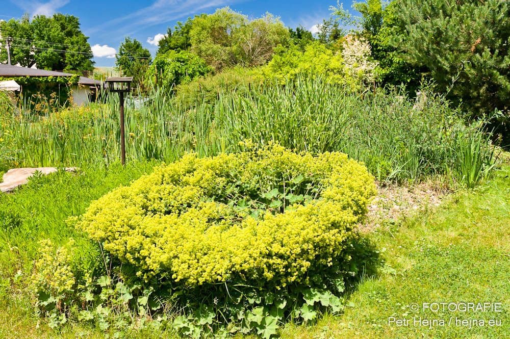 Predaj domu 250 m², pozemek 2.400 m², Středokluky, Středokluky, Středočeský kraj Predaj domu 250 m², pozemek 2.400 m², Středokluky, Středokluky, Středočeský kraj