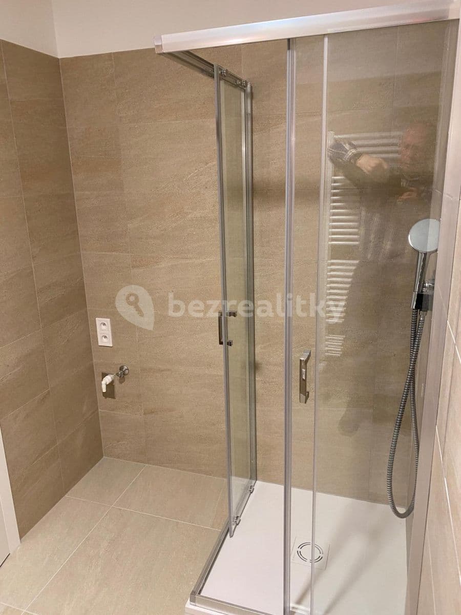 Prenájom bytu 1-izbový 41 m², U Červeného mlýna, Brno, Jihomoravský kraj Prenájom bytu 1-izbový 41 m², U Červeného mlýna, Brno, Jihomoravský kraj