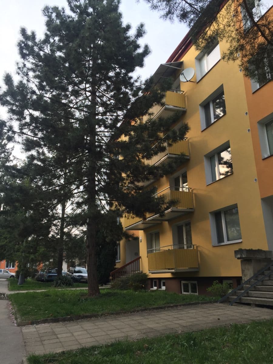 Prenájom bytu 1-izbový 38 m², Vondrákova, Brno, Jihomoravský kraj Prenájom bytu 1-izbový 38 m², Vondrákova, Brno, Jihomoravský kraj