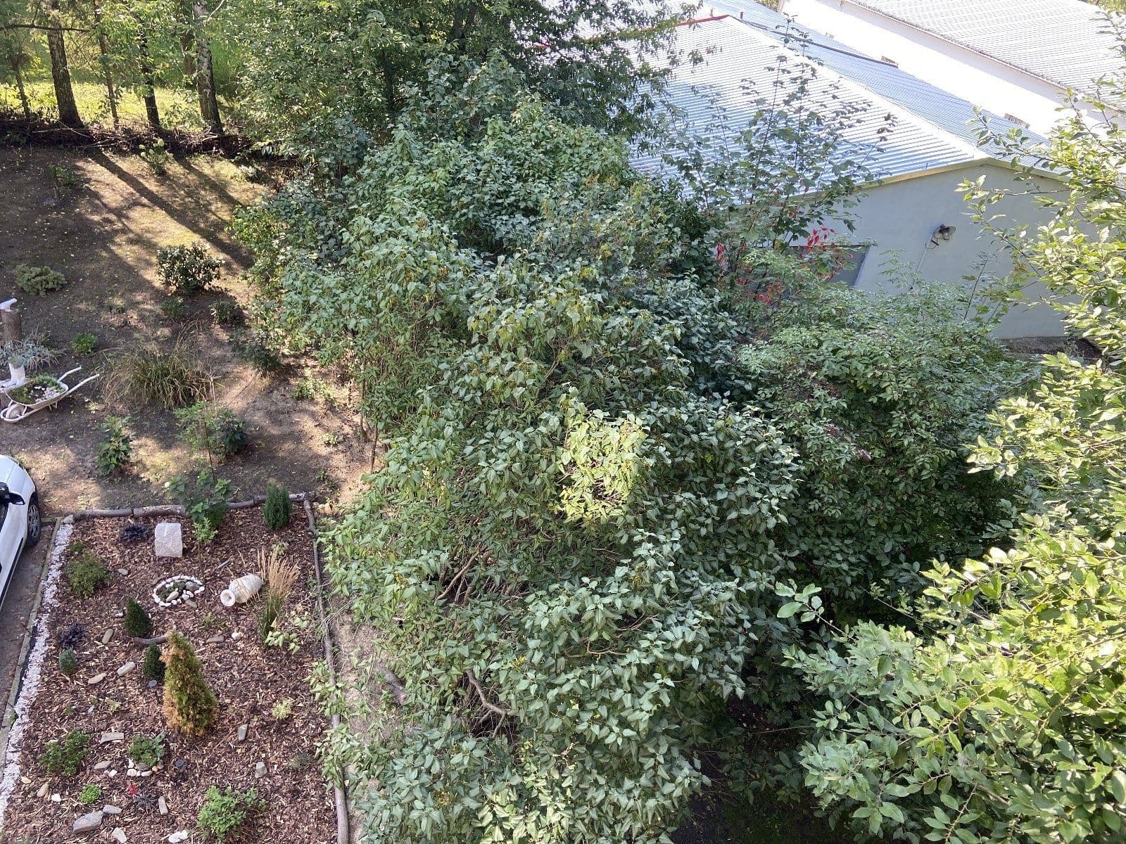 Prenájom bytu 3-izbový 69 m², Kapitána Jasioka, Havířov, Moravskoslezský kraj Prenájom bytu 3-izbový 69 m², Kapitána Jasioka, Havířov, Moravskoslezský kraj