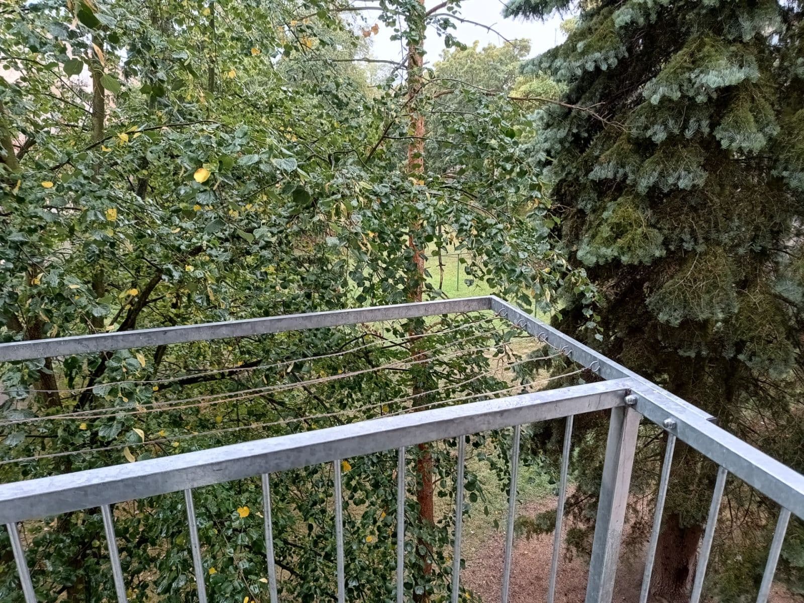 Prenájom bytu 2-izbový 52 m², Alešova, Plzeň, Plzeňský kraj Prenájom bytu 2-izbový 52 m², Alešova, Plzeň, Plzeňský kraj