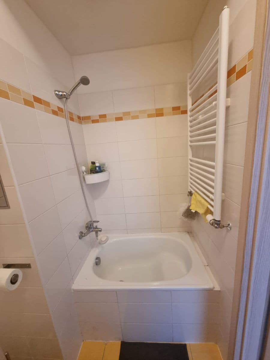 Prenájom bytu 1-izbový 23 m², Praha, Praha Prenájom bytu 1-izbový 23 m², Praha, Praha
