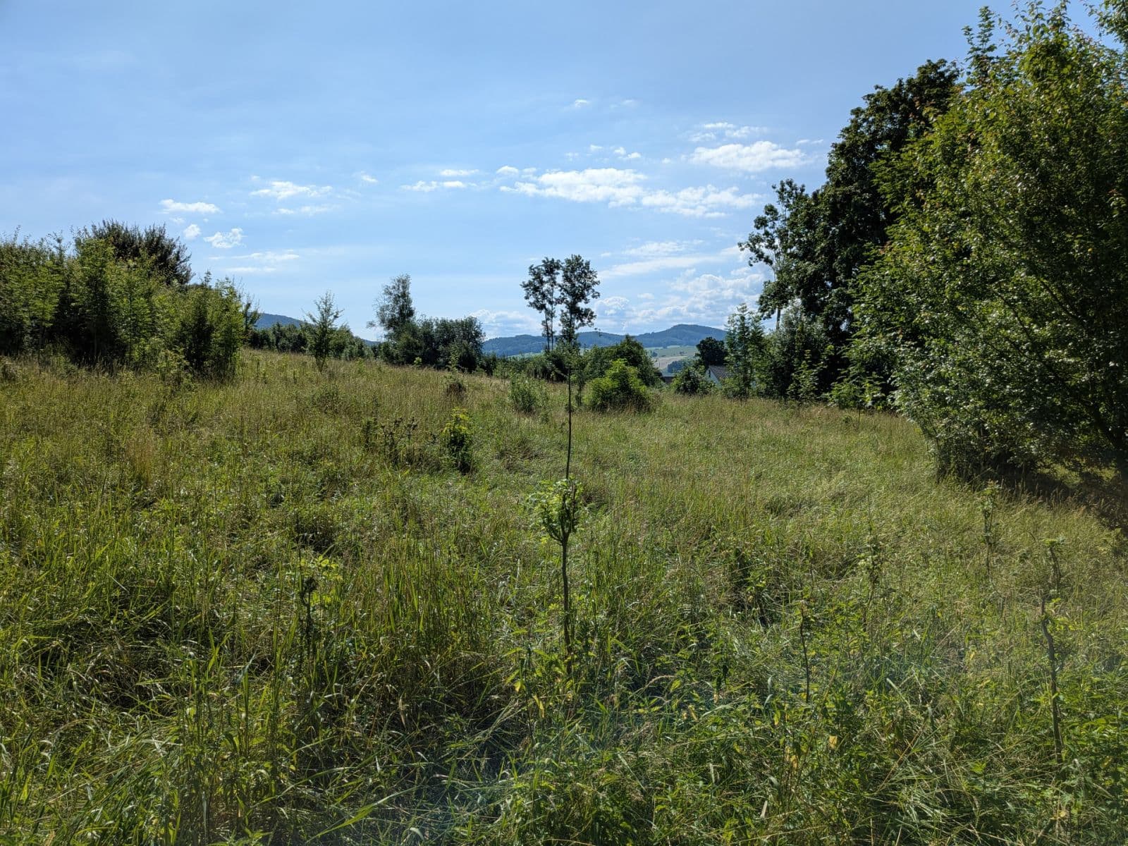 Predaj pozemku 11.768 m², Všeruby, Plzeňský kraj Predaj pozemku 11.768 m², Všeruby, Plzeňský kraj