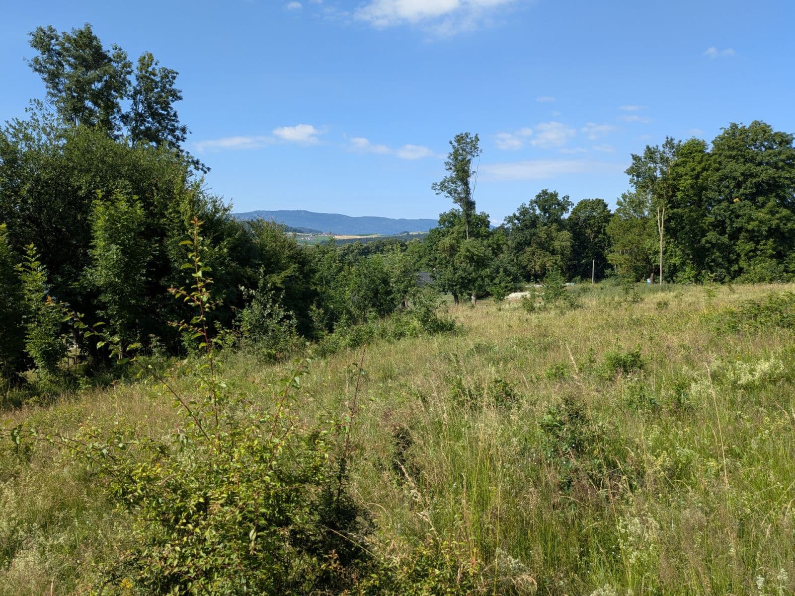 Predaj pozemku 11.768 m², Všeruby, Plzeňský kraj Predaj pozemku 11.768 m², Všeruby, Plzeňský kraj