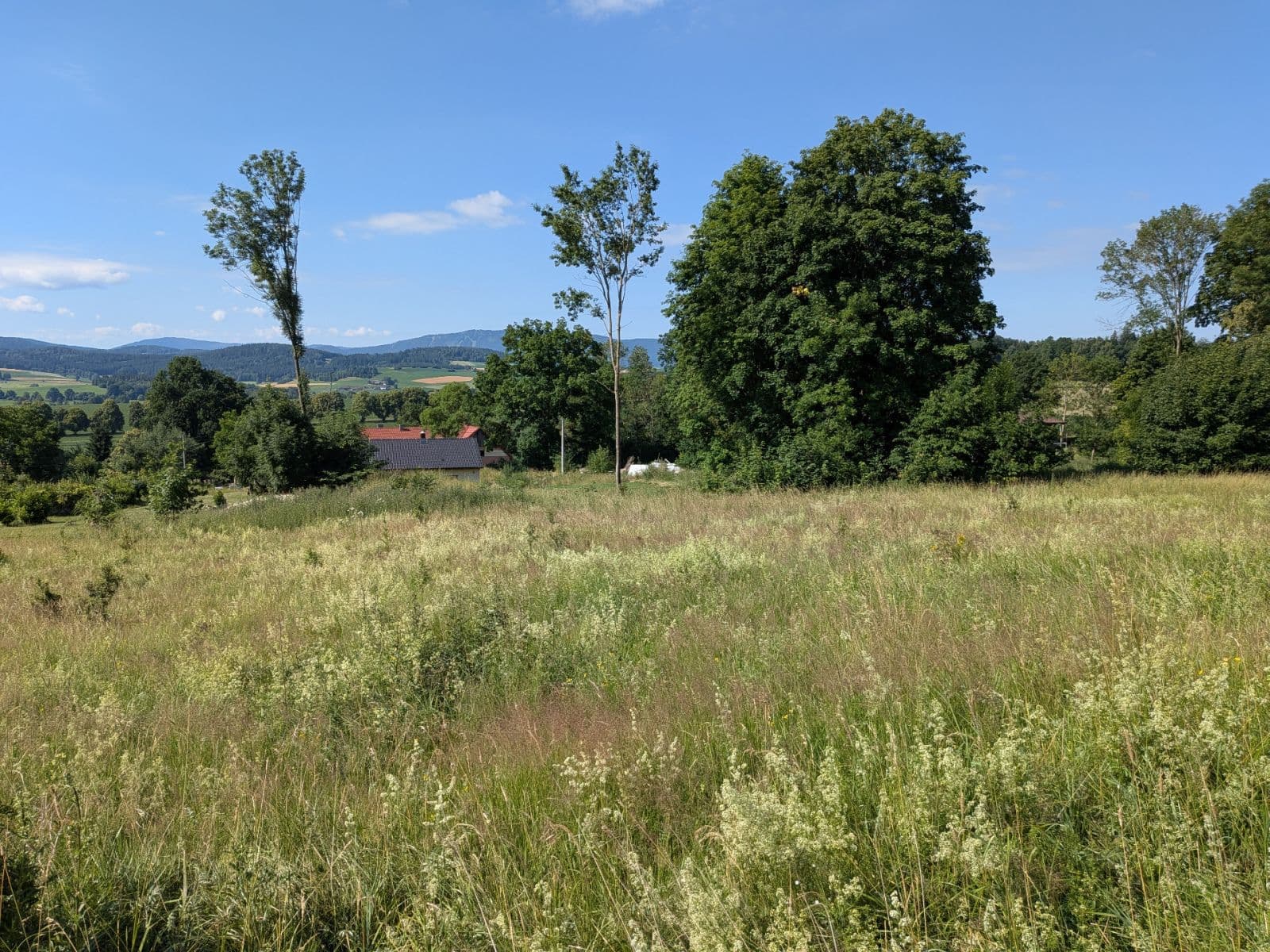 Predaj pozemku 11.768 m², Všeruby, Plzeňský kraj Predaj pozemku 11.768 m², Všeruby, Plzeňský kraj